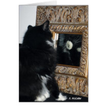 Mr. Bootee, thru the Looking Glass cards