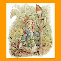 Mr. Bunny and Red Robin posters