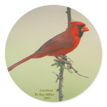 Mr. Cardinal stickers
