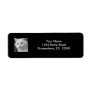 white cat, yellow eyes, yellow eyed, white, cat,