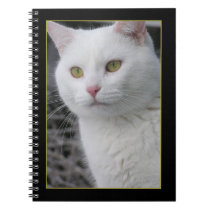 Mr. Cat Portrait Notebook notebooks