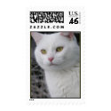 Mr. Cat Portrait Postage Stamp by kerstitch Mr. Cat Portrait Postage Stamp