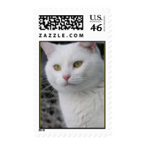 Mr. Cat Portrait Postage Stamp by kerstitch Mr. Cat Portrait Postage Stamp