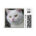 Mr. Cat Portrait - Small Postage postage