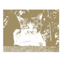 Mr. Cat Postcard 002