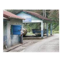 Mr Charles By Blue Window Post Card