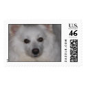 Mr. Chin postage by kennington Mr. Chin postage