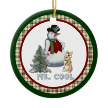 Mr. Cool - Snowman ornaments