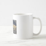 mr crab mug