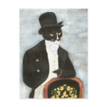 Mr. Darcy Cat postcard