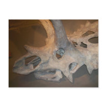 Mr.dino #2 post cards