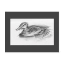 mr ducks postcards by sanfran1 mr ducks postcards