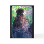 Mr. Fluffy the Silkie Rooster cards