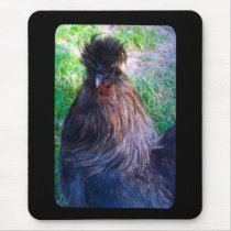 Mr. Fluffy the Silkie Rooster mousepads