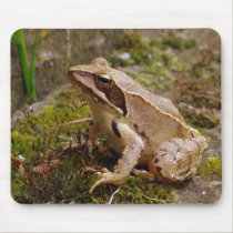 Mr. Frog mousepads