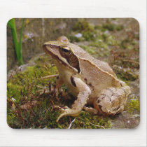 Mr. Frog mousepads by Rainmountain Mr. Frog mousepads