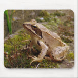 Mr. Frog Mouse Mat
