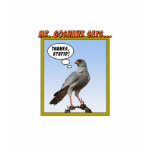 Mr. Goshawk Says... t-shirts