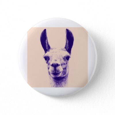 mr llama