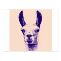Mr Llama Postcards