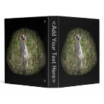Mr Meerkat binders