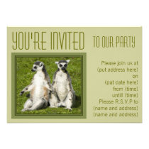Mr & Mrs Lemur Custom Announcements