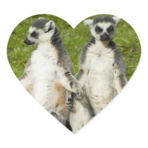 Mr & Mrs Lemur Heart Stickers