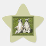 Mr & Mrs Lemur Stickers