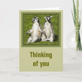 Mr & Mrs Lemur Thinking of you Card zazzle_card