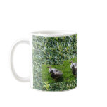 Mr & Mrs mugs