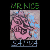 MR NICE SATIVA posters