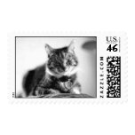 mr. oats stamps