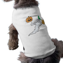 Mr October Pet Clothes