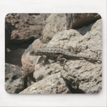 Mr or Mrs Lizard Mouse Pads