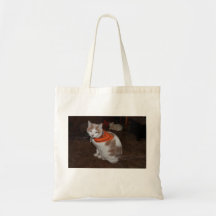 Mr. Peabody Budget Tote Tote Bags