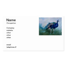 Mr. Peacock Business Cards