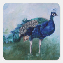 Mr. Peacock Stickers