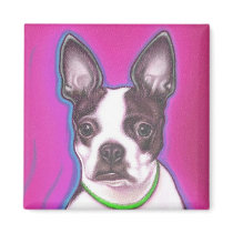 Mr. Pickles Magnet by wilddogs Mr. Pickles Magnet