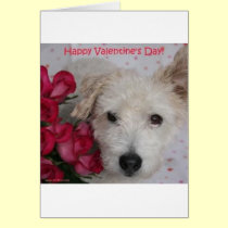 Mr. Pish and a Dozen Roses Valentine's Day Card cards