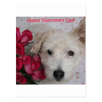 Mr. Pish and a Dozen Roses Valentine's Day Card postcards
