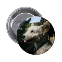 Mr. Pish Enjoys the Summer Breeze! buttons