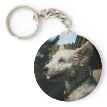 Mr. Pish Enjoys the Summer Breeze! keychains