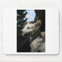 Mr. Pish Enjoys the Summer Breeze! mousepads