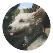Mr. Pish Enjoys the Summer Breeze! stickers