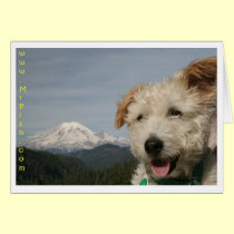Mr. Pish Rainier Thank You Card cards
