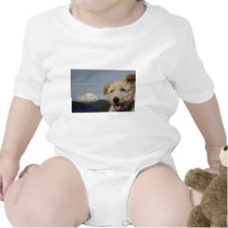 Mr. Pish Visits Mt. Rainier t-shirts