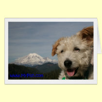 Mr. Pish Visits Mt. Rainier cards