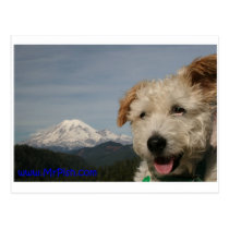 Mr. Pish Visits Mt. Rainier postcards