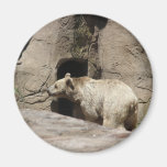 Mr Polar Bear Fridge Magnets