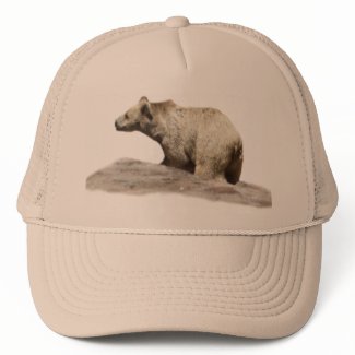 Mr Polar Bear Hat hat